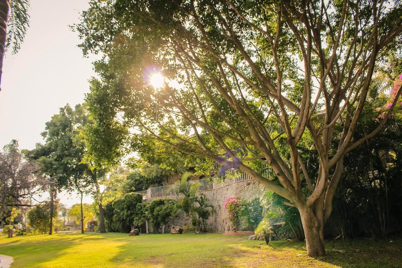 Jardin De La Abundancia - Holistic Resort For Events, Weddings & Retreats Tepoztlán Esterno foto