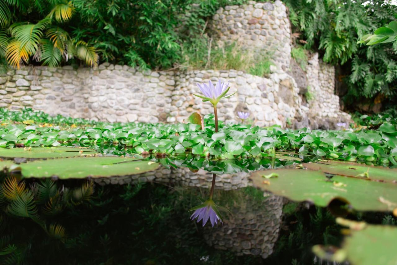 Jardin De La Abundancia - Holistic Resort For Events, Weddings & Retreats Tepoztlán Esterno foto